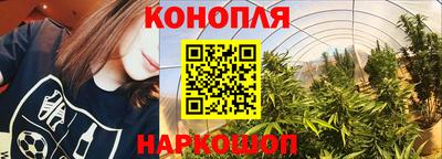 молекула духа Новозыбков