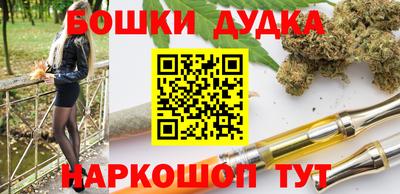 молекула духа Новозыбков