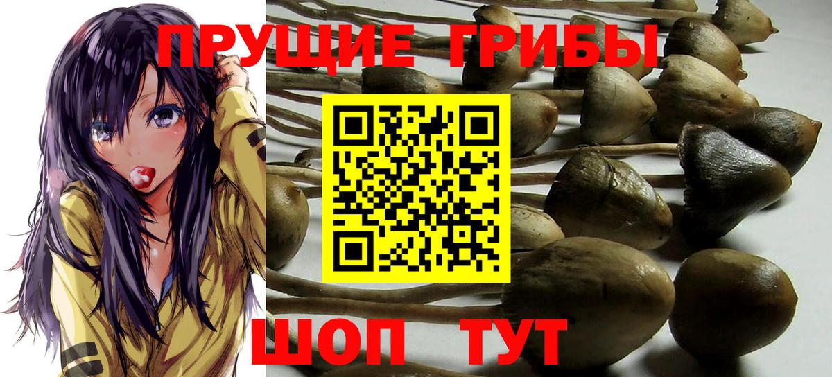 Галлюциногенные грибы ЛСД  Вход с VPN  Невинномысск 